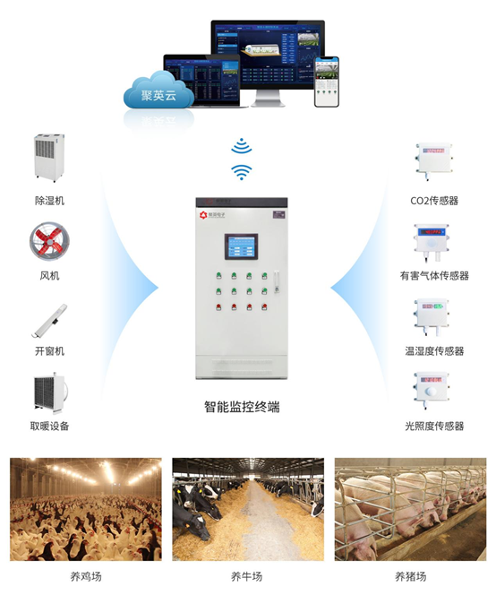 畜禽養殖監控系統 畜禽養殖監控系統