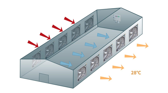 養殖場通風示意圖 養殖場通風示意圖