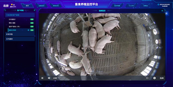 畜禽養殖監控系統視頻監控功能 畜禽養殖監控系統視頻監控功能