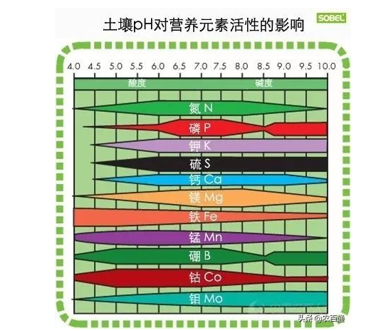 土壤pH對營養元素活性的影響 土壤pH對營養元素活性的影響