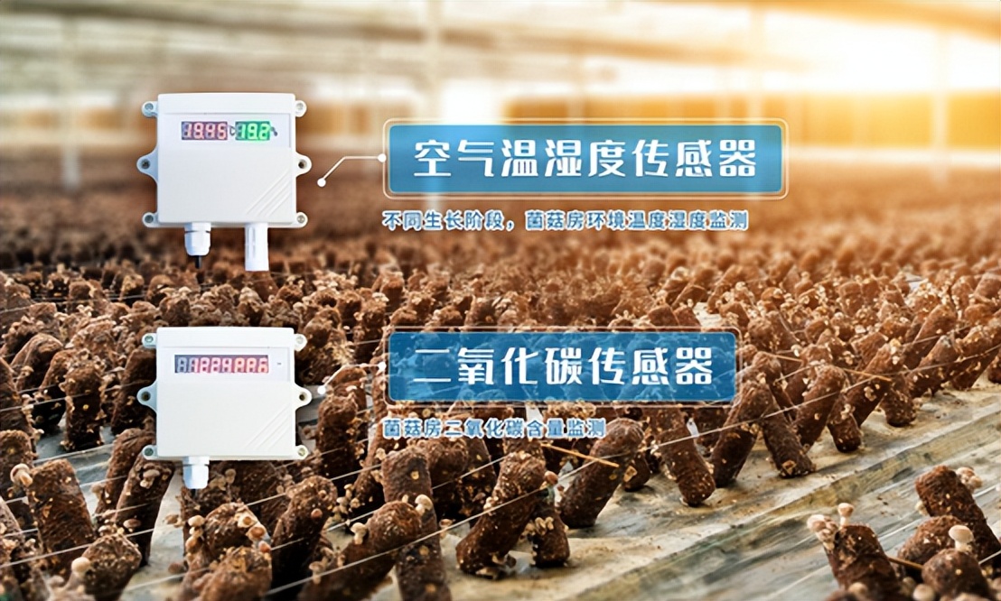 空氣溫濕度傳感器 空氣溫濕度傳感器