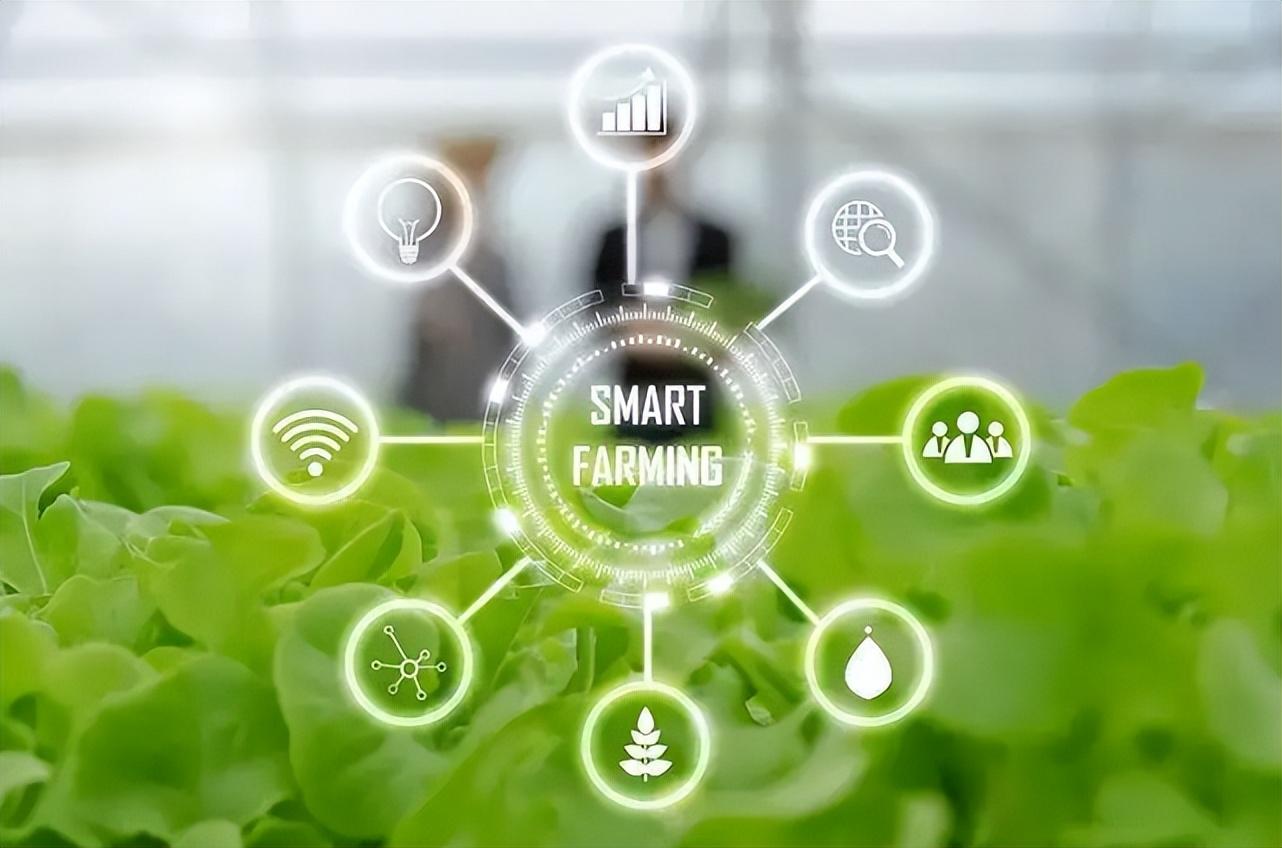 農(nóng)業(yè)物聯(lián)網(wǎng) 農(nóng)業(yè)物聯(lián)網(wǎng)