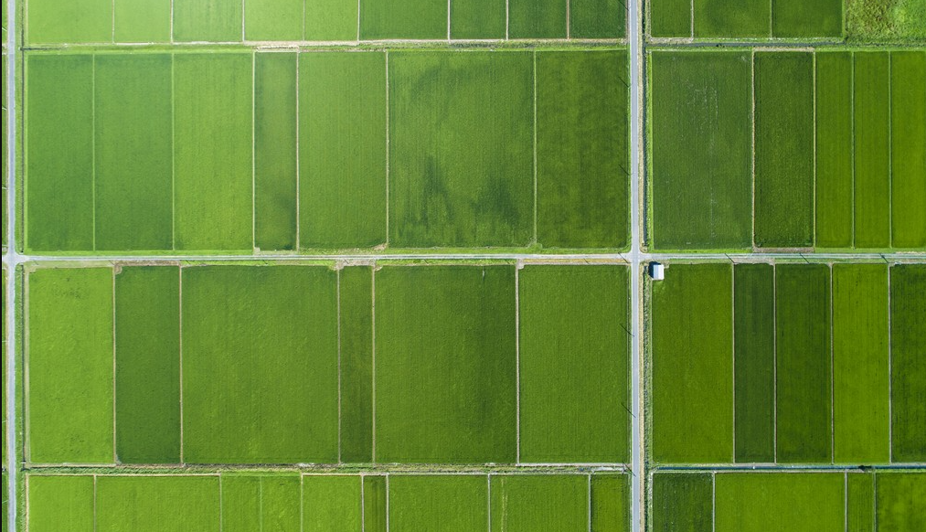 高標準農田(數字化、標準化)