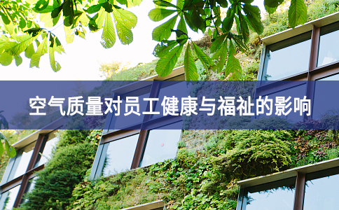 空氣質量對員工健康與福祉的影響