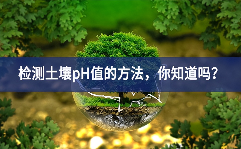 檢測土壤pH值的方法，你知道嗎？