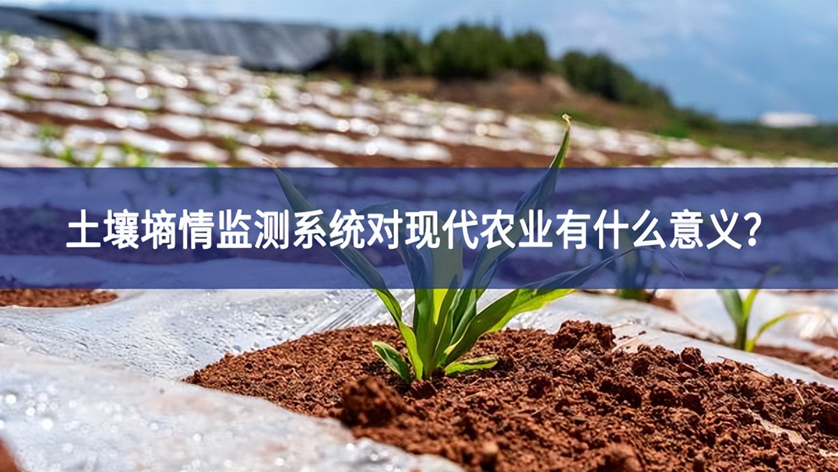 土壤墑情監測系統對現代農業有什么意義？