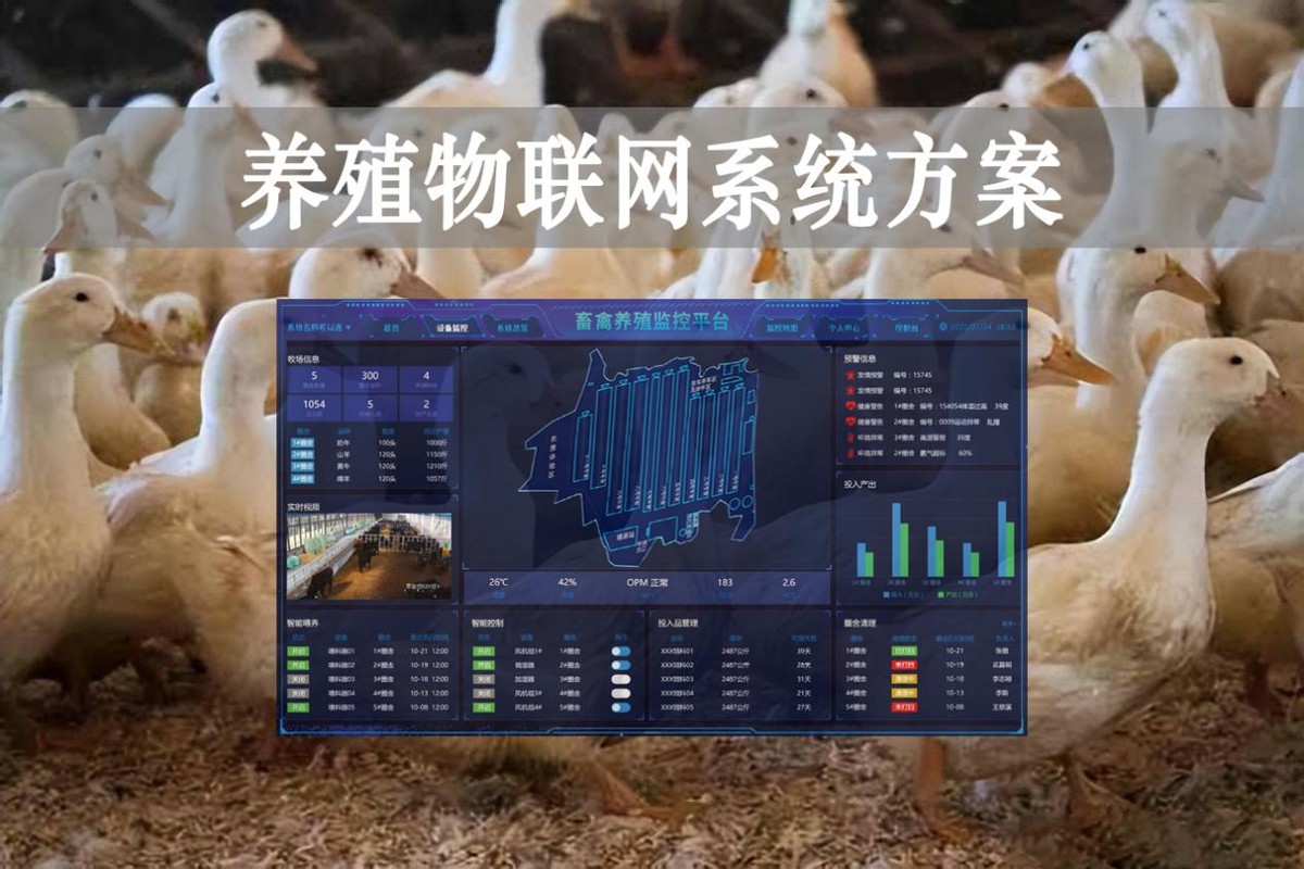 【智慧養殖】數字經濟時代到來，養殖物聯網系統方案來了