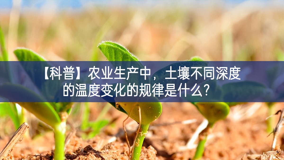【科普】農業生產中，土壤不同深度的溫度變化的規律是什么？