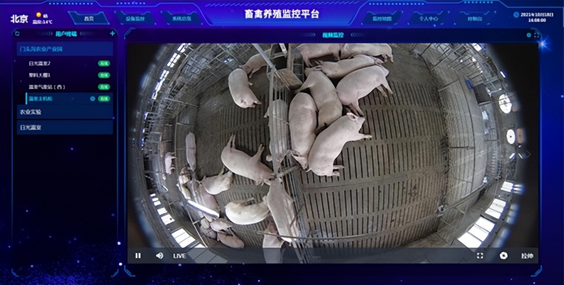 視頻監(jiān)控 視頻監(jiān)控