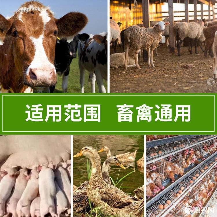 應(yīng)用場(chǎng)景 應(yīng)用場(chǎng)景