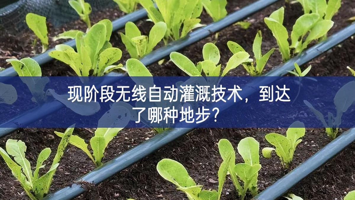現(xiàn)階段無線自動(dòng)灌溉技術(shù)，到達(dá)了哪種地步？