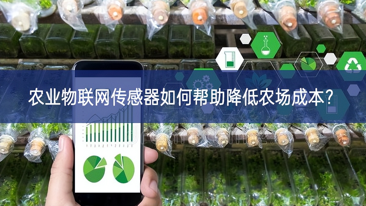 農業物聯網傳感器如何幫助降低農場成本? 農業物聯網傳感器如何幫助降低農場成本?