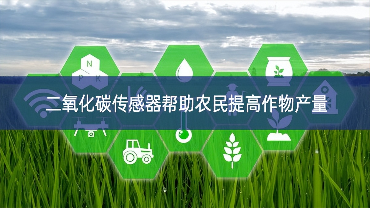 二氧化碳傳感器幫助農民提高作物產量