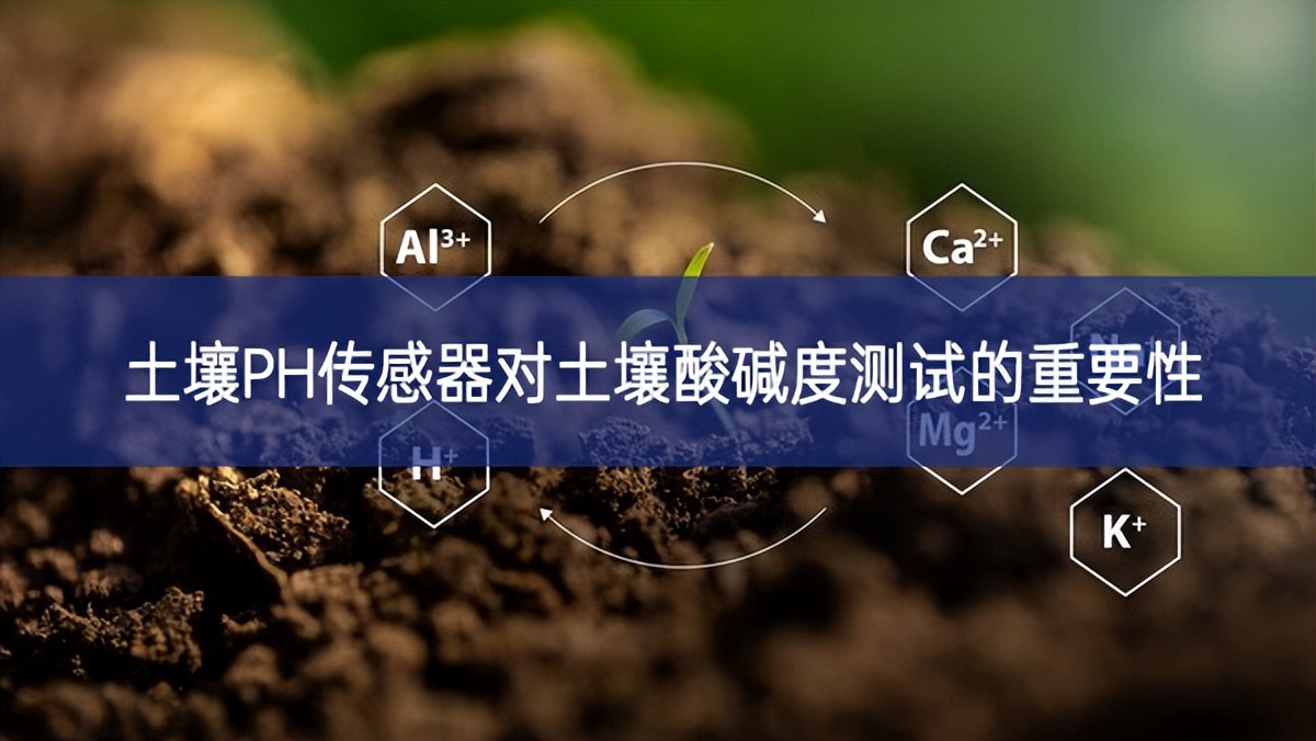 土壤PH傳感器對土壤酸堿度測試的重要性 土壤PH傳感器對土壤酸堿度測試的重要性