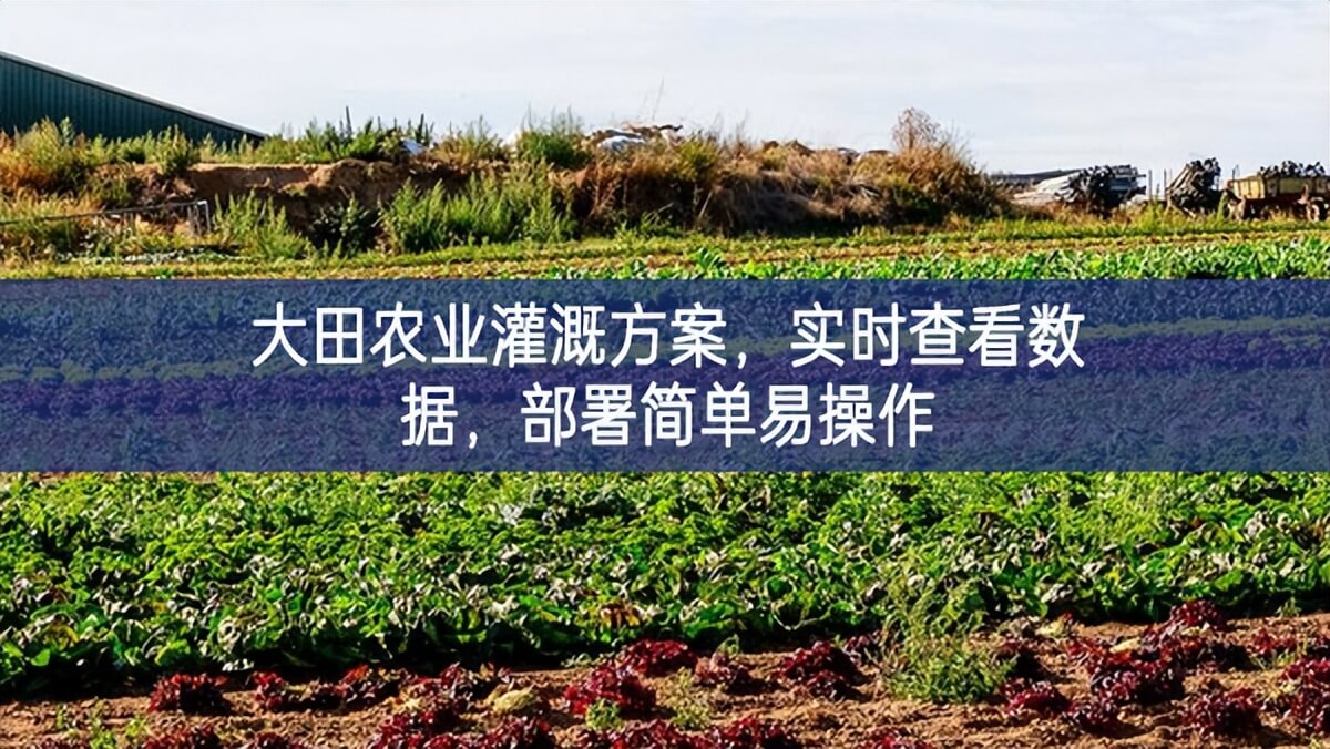 大田農業灌溉方案，實時查看數據，部署簡單易操作