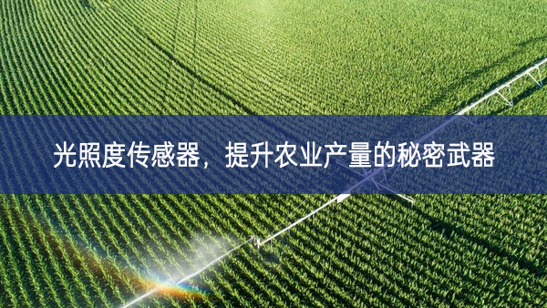 光照度傳感器,提升農業(yè)產量的秘密武器 光照度傳感器,提升農業(yè)產量的秘密武器