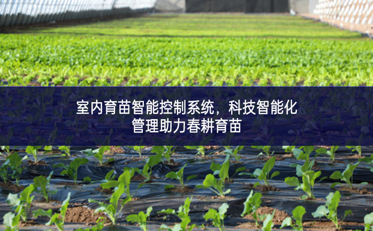 室內(nèi)育苗智能控制系統(tǒng),科技智能化管理助力春耕育苗 室內(nèi)育苗智能控制系統(tǒng),科技智能化管理助力春耕育苗