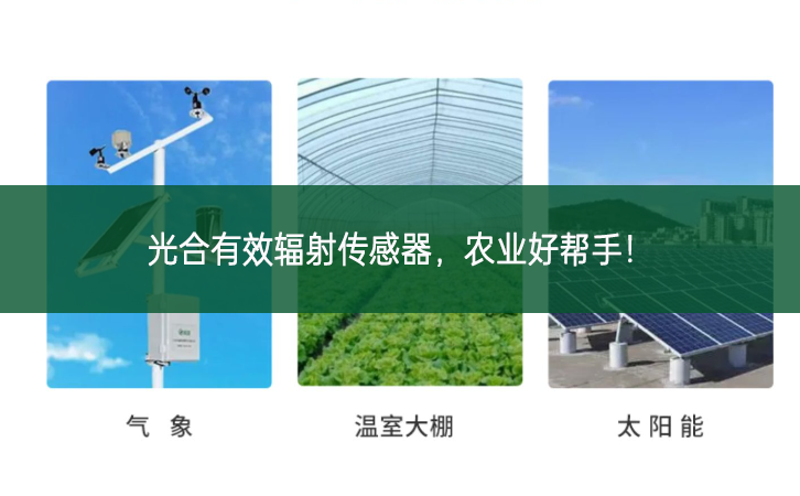 光合有效輻射傳感器,農業好幫手! 光合有效輻射傳感器,農業好幫手!