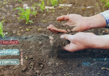 「物聯網」溫濕度傳感器在智慧農業中起到什么樣的作用？