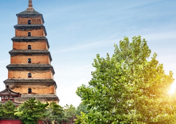 使用可持續建筑技術推動變革